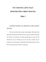 VẾT THƯƠNG LỒNG NGỰC (PENETRATING CHEST TRAUMA) - Phần 2 ppsx