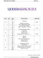 giáo án 4 tuần 5