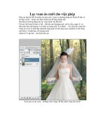 Lọc voan áo cưới cho việc ghép ảnh ppsx