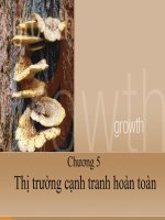 Chương 5: Thị trường cạnh tranh hoàn toàn potx