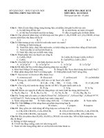 ĐỀ KIỂM TRA HỌC KÌ II MÔN HÓA 10 CƠ BẢN - THPT NGUYỄN DU doc