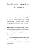 Bảo hộ kiểu dáng công nghiệp của bạn ở nước ngoài ppt