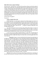 Danh chet trom co pham toi khong-chi Hang sua pot