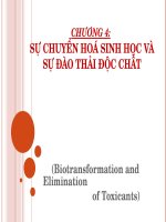 Giáo trình độc học môi trường - Chương 4 docx
