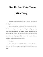 Rủi Ro Sức Khỏe Trong Mùa Đông potx