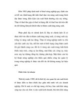 Một số vấn đề lý luận chung về quan hệ phân phối part5 ppt