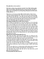 Bón phân hữu cơ cho ao nuôi cá doc