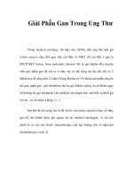 Giải Phẫu Gan Trong Ung Thư pot