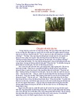 Một số loài cây sống trên cạn - Bùi Đào