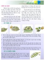 Chăm Sóc Cây Cảnh Trong Nhà - biên dịch Nguyễn Minh Tiến phần 9 ppsx