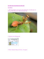 Tạo hiệu ứng Circuit Board cho hình ảnh ppt