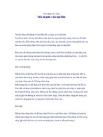 Sức mạnh của nụ hôn