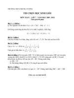 Đề chọn HSG thcs trưng vương