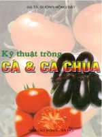Kỹ Thuật Trồng Cà & Cà Chua - Đường Hồng Dật phần 1 doc