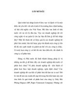 Cổ phần hóa DNNN chưa chú trọng đến cổ phần hóa các đơn vị thành viên part1 pdf