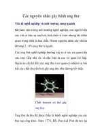 Các nguyên nhân gây bệnh ung thư, phần 2 potx