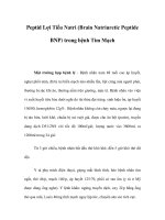 Peptid Lợi Tiểu Natri (Brain Natriuretic Peptide BNP) trong bệnh Tim Mạch pdf