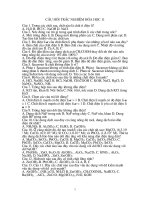 124 câu hỏi TN hóa 11