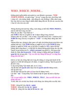 Ngữ pháp tiếng Anh Who, Which, Whom pptx