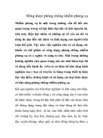 Ðông dược phòng chống nhiễm phóng xạ pot