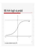 Kinh tế lượng - Hồi quy với biến giả và biến bị chặn part 3 pptx