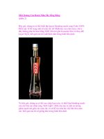 Một Quảng Cáo Rượu Màu Sắc Sống Động (phần 2) ppsx