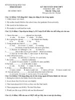 De Thi TS Tieng Anh Vao 10 nam 2010