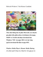 Hình ảnh Windows 7 bản Release Candidate pot