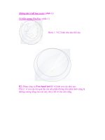 Những bài vẽ đồ họa vectơ ( phần 3 ) Vẽ biểu tượng FireFox ( phần 1 ) pps