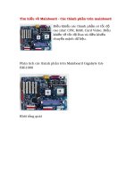 Tìm hiểu các loại Main