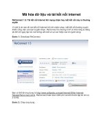 Mã hóa dữ liệu và tái kết nối internet doc