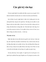 Các giá trị văn học doc