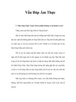 Vấn Đáp Ẩm Thực docx