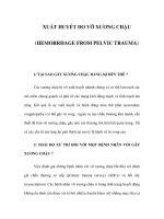 XUẤT HUYẾT DO VỠ XƯƠNG CHẬU (HEMORRHAGE FROM PELVIC TRAUMA) docx