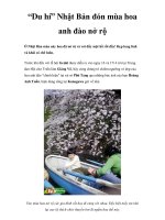 “Du hí” Nhật Bản đón mùa hoa anh đào nở rộ docx