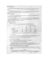 ĐỀ ĐỊA THI ĐH KHỐI C NĂM 2010