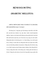 BỆNH ĐÁI ĐƯỜNG (DIABETIC MELLITUS) ppt