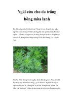 Ngải cứu cho da trắng hồng mùa lạnh pps