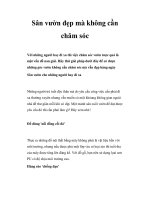 Sân vườn đẹp mà không cần chăm sóc pot
