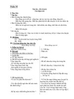 Giáo Án Tiếng Việt Lớp 3_Tuần 33 pot