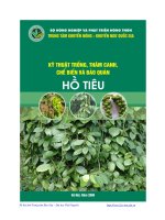 Ký thuật trồng, thâm canh, chế biến và bảo quản cây hồ tiêu