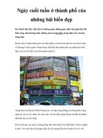 Ngày cuối tuần ở thành phố của những bãi biển đẹp pptx