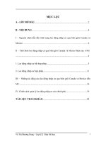 Lao động nhập cư ppsx