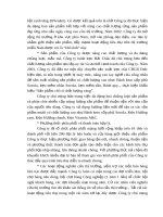 Luận văn tốt nghiệp-đẩy mạnh tiêu thụ sản phẩm tại công ty bánh kẹo Hải Châu part7 pdf