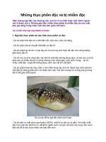 Những thực phẩm độc và bị nhiễm độc doc