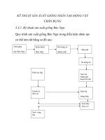 KỸ THUẬT SẢN XUẤT GIỐNG NHÂN TẠO ĐỘNG VẬT CHÂN BỤNG potx