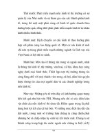 Quá trình hình thành những vấn đề thảo luận trong quá trình đầu tư nước ngoài part8 ppt