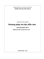 SKKN doc dien cam lop3