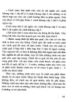 [Nông Nghiệp] Trồng Cây Hồng - Pgs.Ts.Phạm Văn Côn phần 9 pptx