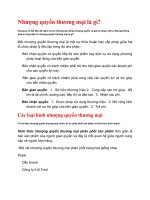 Nhượng quyền thương mại là gì? ppsx